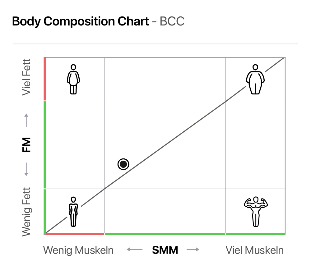 Body Composition Chart — Verhältnis Fett- zu Muskelmasse