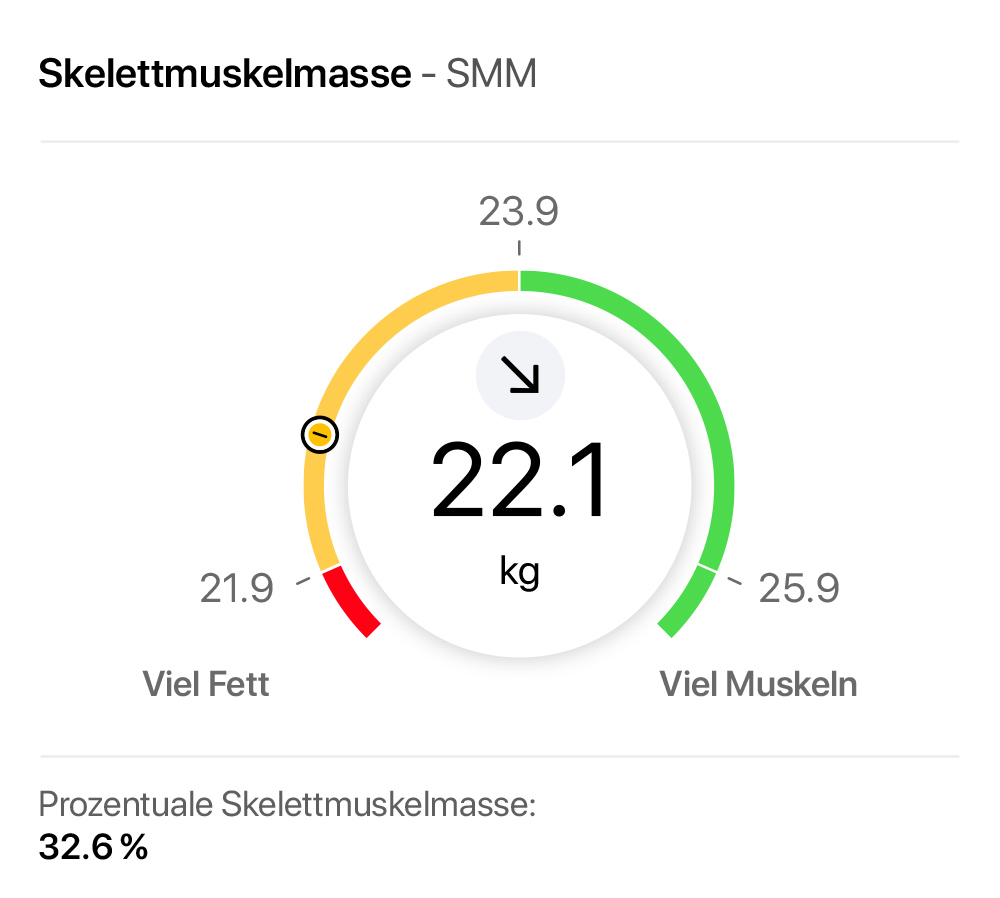 Skelettmuskelmasse — Tachometerdarstellung