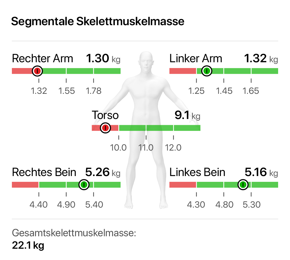 Segmentale Skelettmuskelmasse — Arme, Beine, Torso