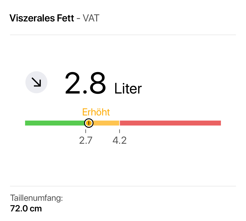 Viszerales Fett — Risikoindikator